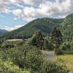 An Overview of Automotive Manufacturing Sustainability Initiatives: 11xplay, Gold365.win, Skyexchange registration